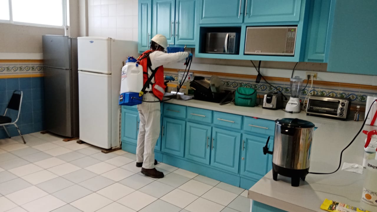 domestico1
